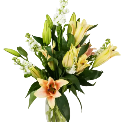 Oriental Lilies Stock Bunch Vase