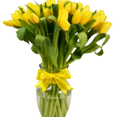 Stem Tulip Yellow