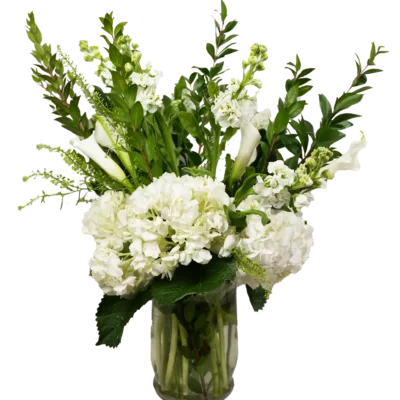 White Hydrangea With Stock Bunch