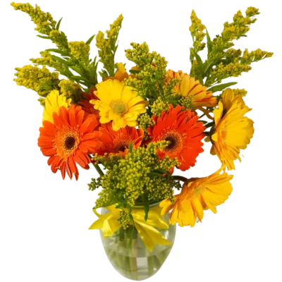 Orange and Yellow Dragon Flowers