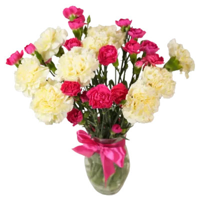 Pink & White Carnation Flowers