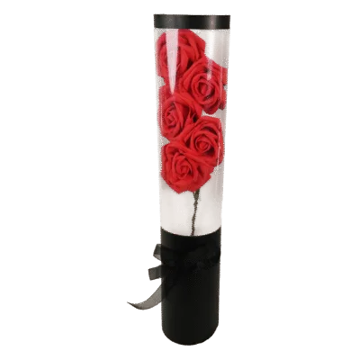 Floral Transparent