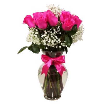 Hot Pink Roses in a Vase